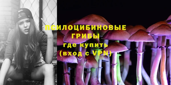 мяу мяу мука Ладушкин