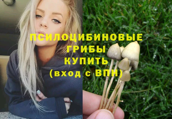 круглые Лагань