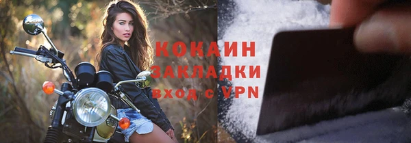индика Лабытнанги