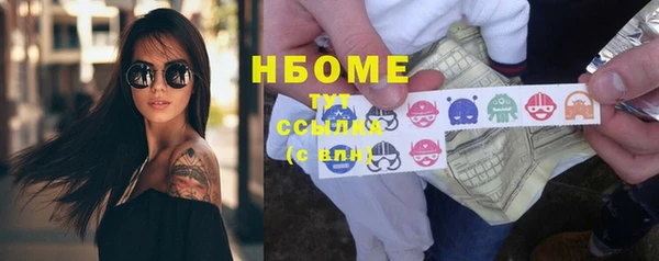 индика Лабытнанги