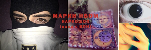 индика Лабытнанги