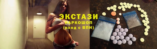 индика Лабытнанги