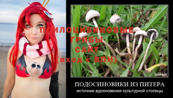 круглые Лагань