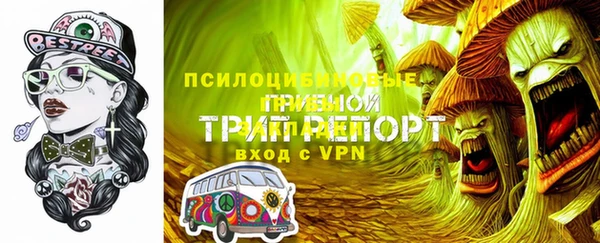 индика Лабытнанги