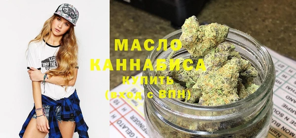 индика Лабытнанги