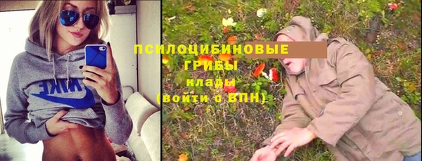 индика Лабытнанги