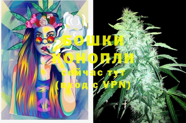 индика Лабытнанги