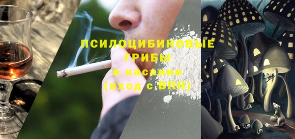 мяу мяу мука Ладушкин