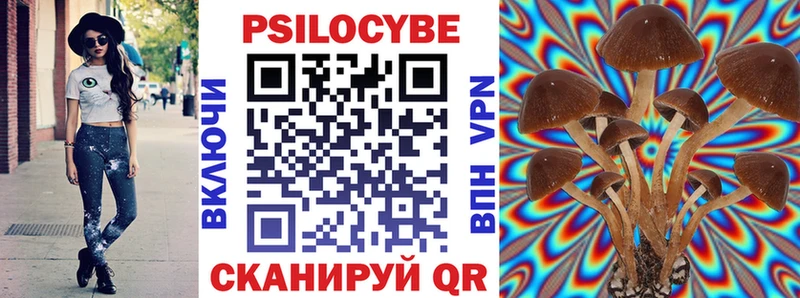 Псилоцибиновые грибы прущие грибы Маркс