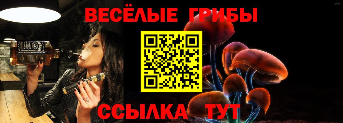Галлюциногенные грибы Psilocybine cubensis Маркс